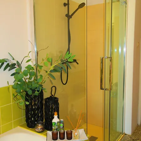 Apartment 5-zimmer-appartement In Historischer Privatvilla, Zentrum, Kostenloser Parkplatz